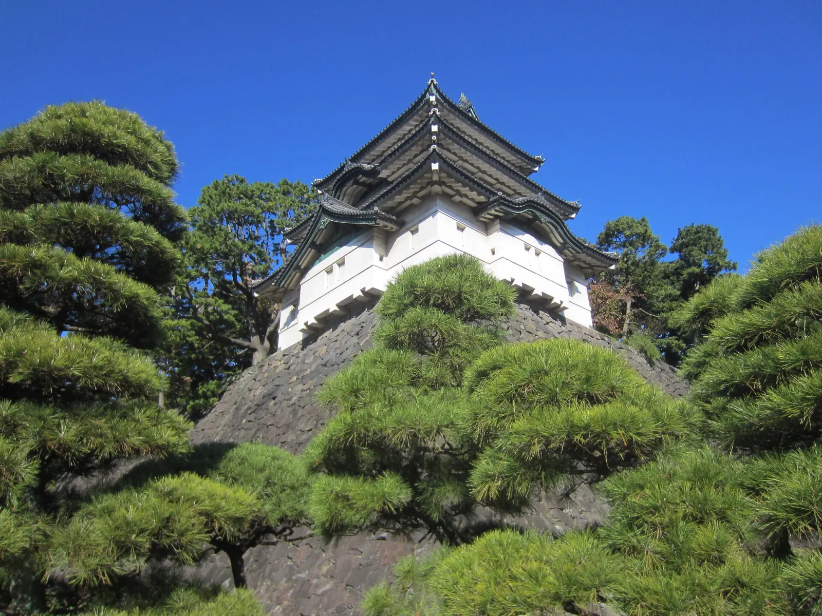 Fujimi-yagura rising above pines and old stone walls