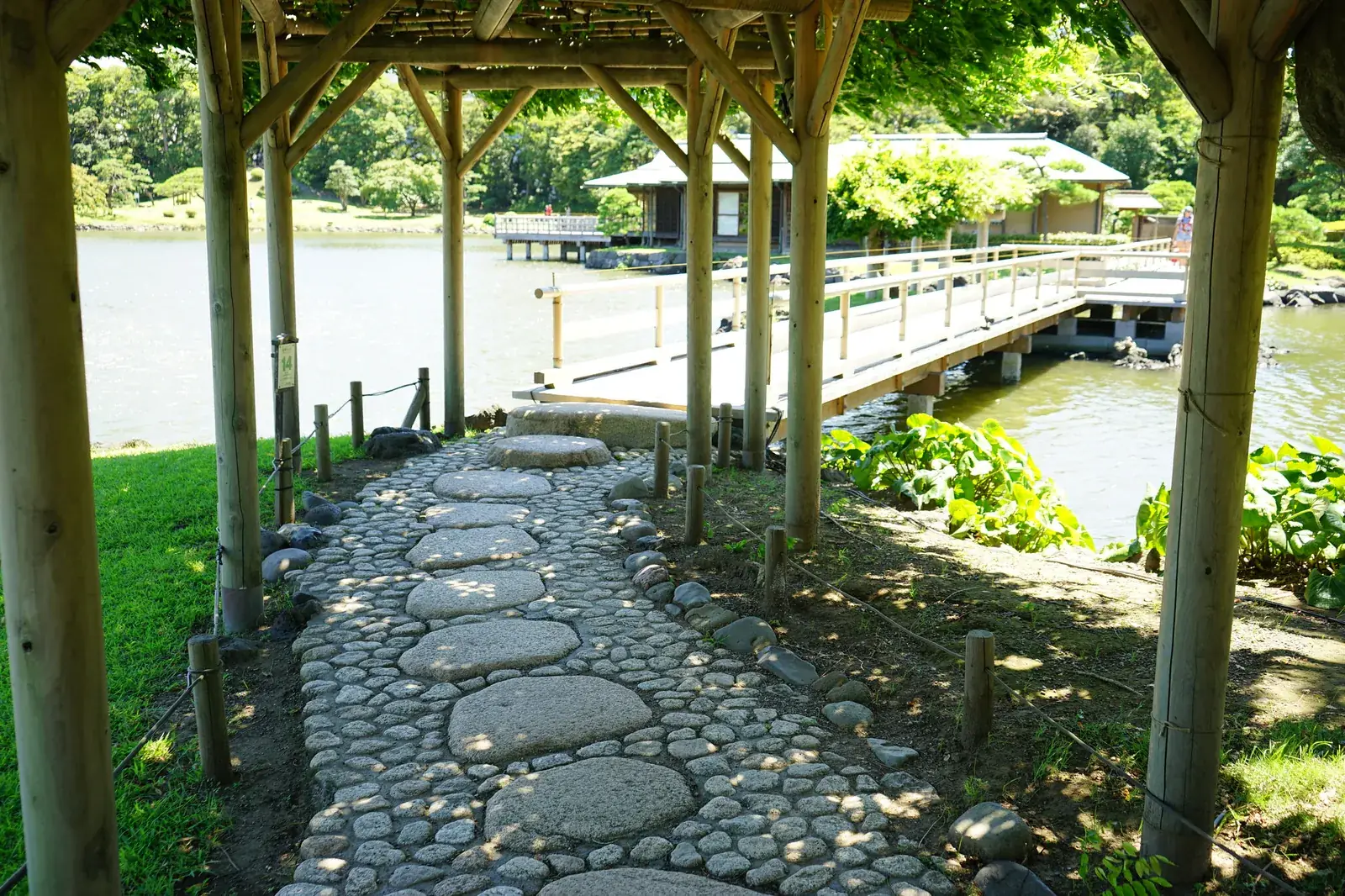 The stone path under the wisteria trellis, down to the pond bridge