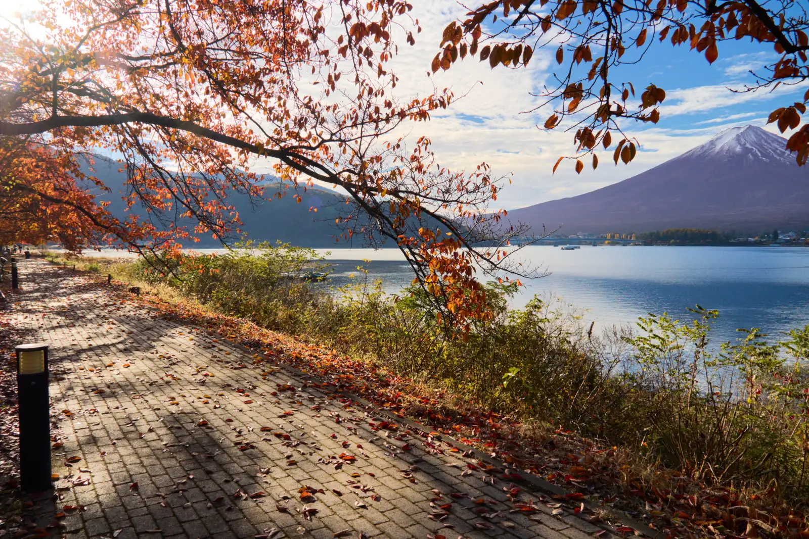 Autumn on the shore of Lake Kawaguchi