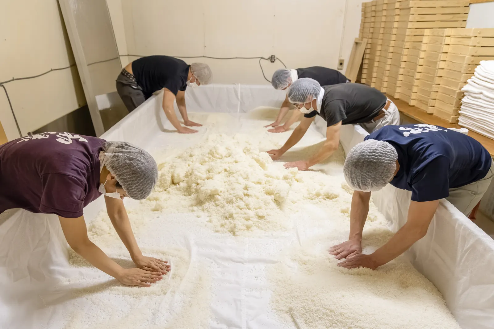 Brewers spreading steamed rice for koji