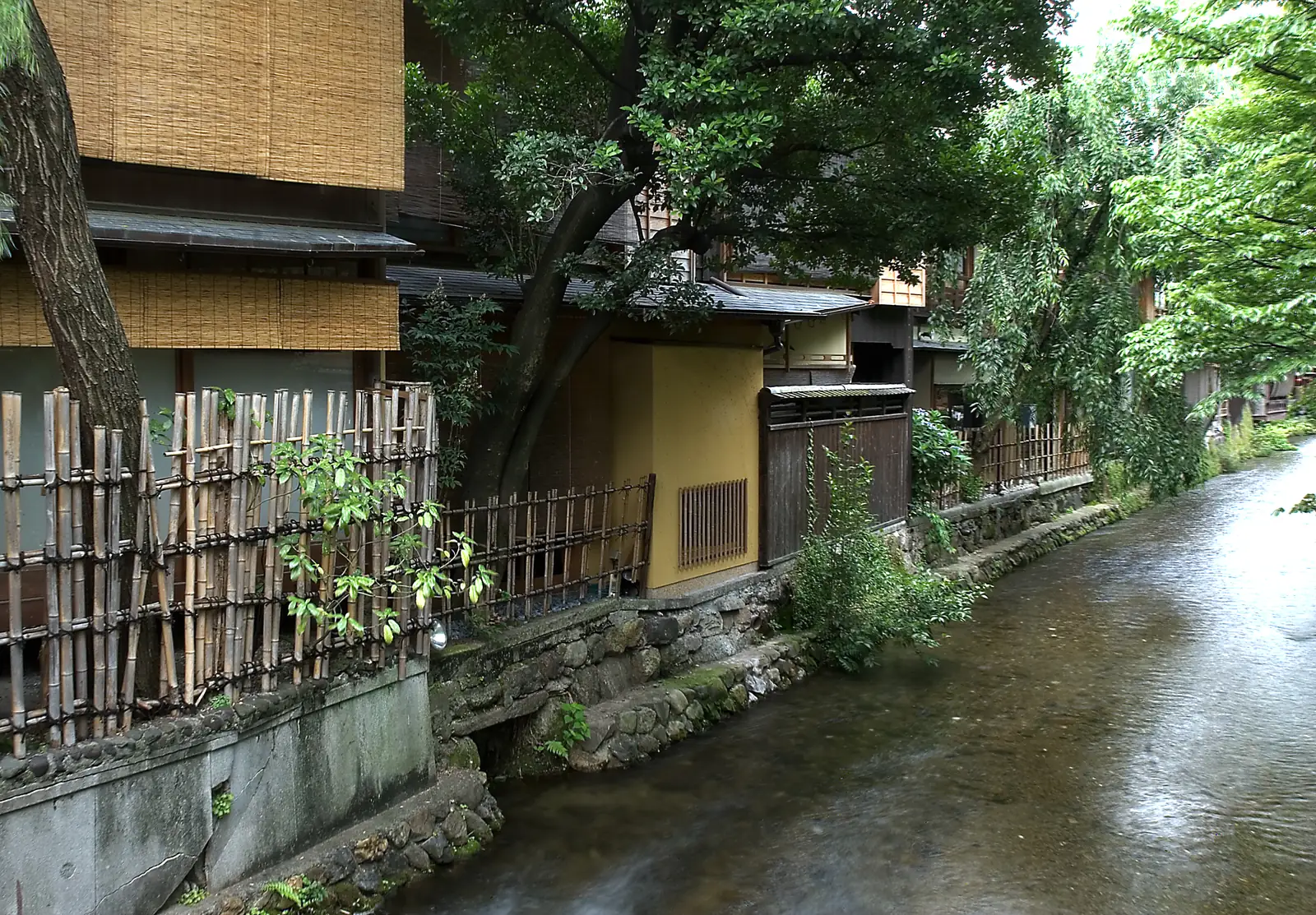 The Shirakawa canal under its trees