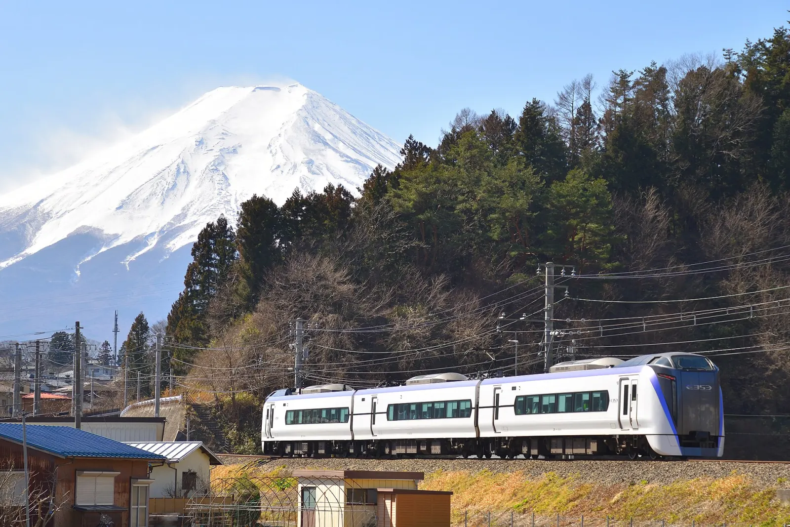 Fuji Excursion train with Mt Fuji behind