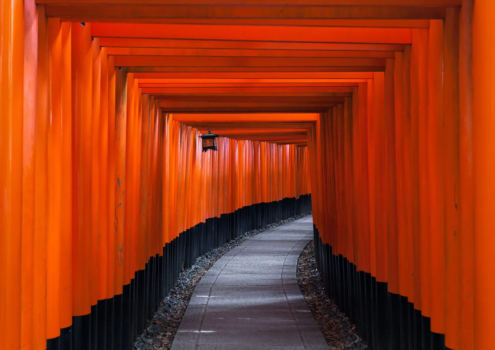 A tunnel of vermilion torii with a hanging lantern