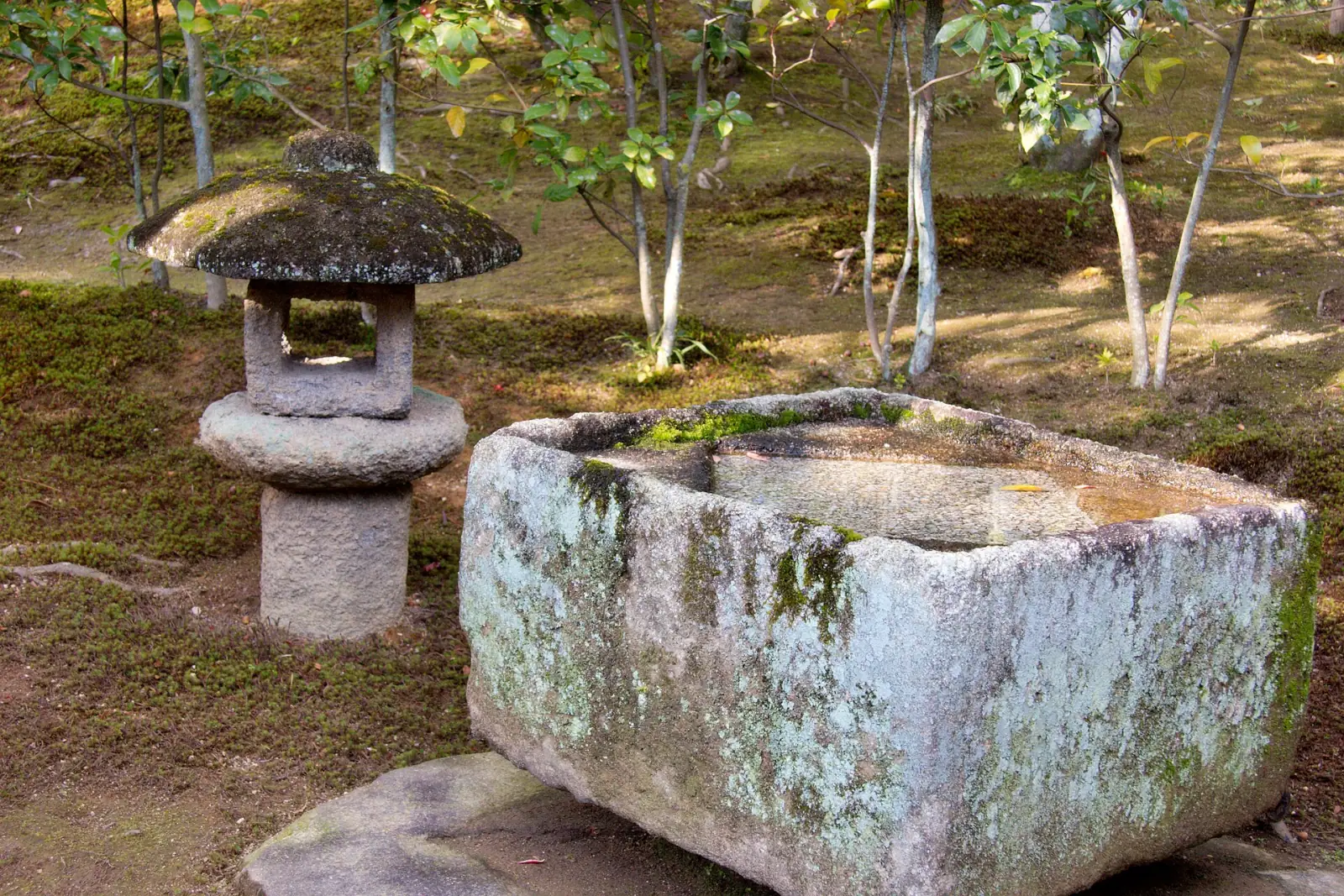 A mossy stone lantern and water basin at Katsura