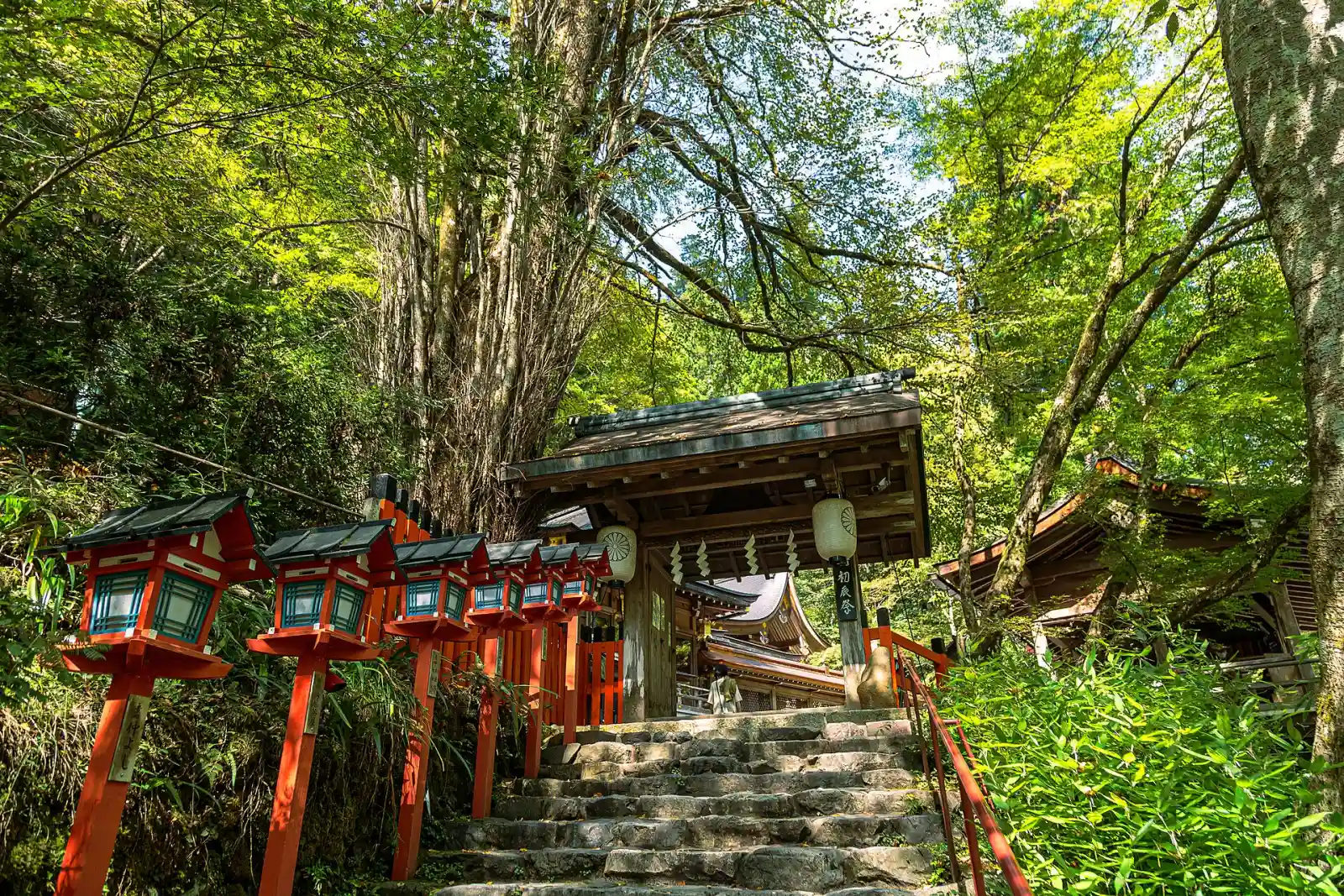 Red lanterns by a small shrine in the woods