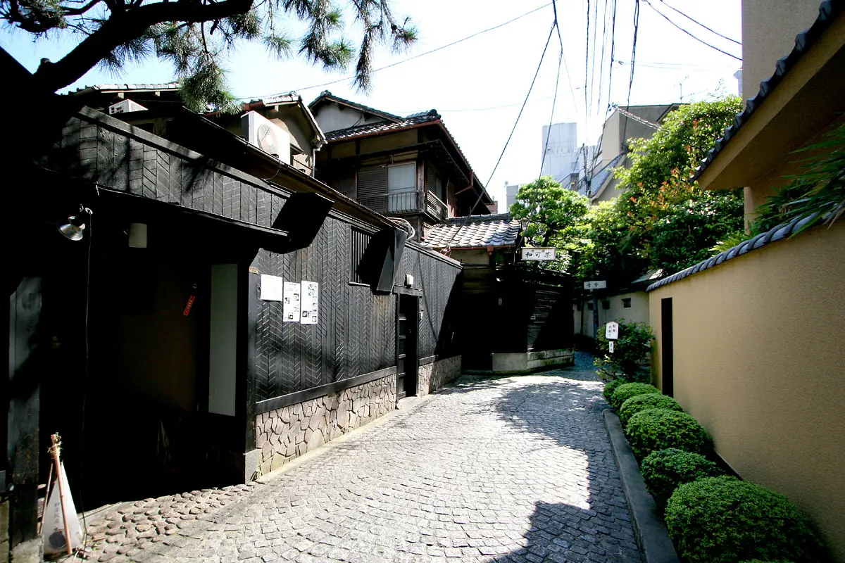 Hyogo-yokocho: stone paving between black wooden fences