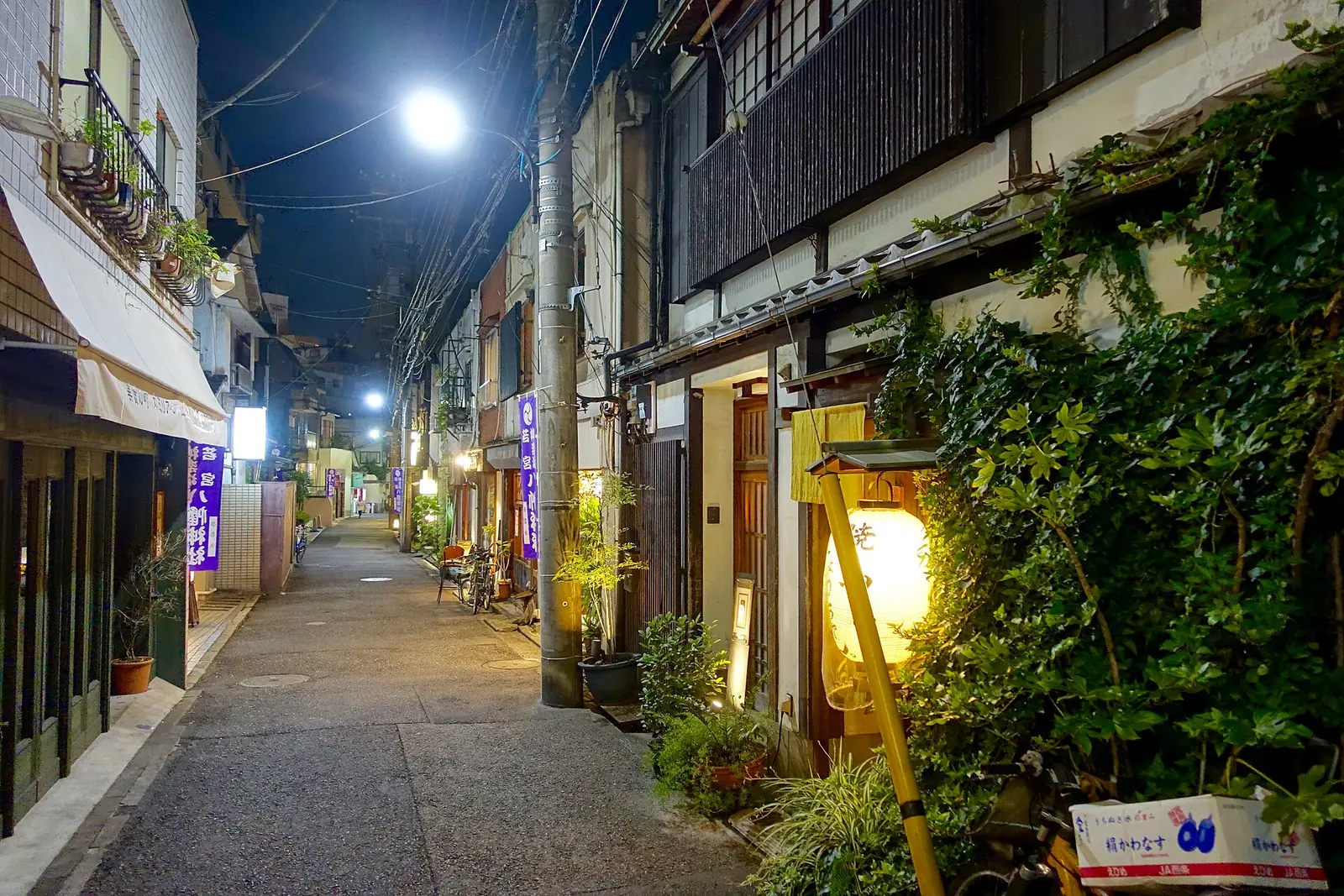 Ivy, a paper lantern, and the quiet of the back lanes