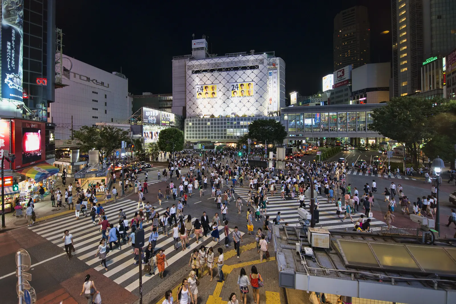 The scramble at night, full of people and neon