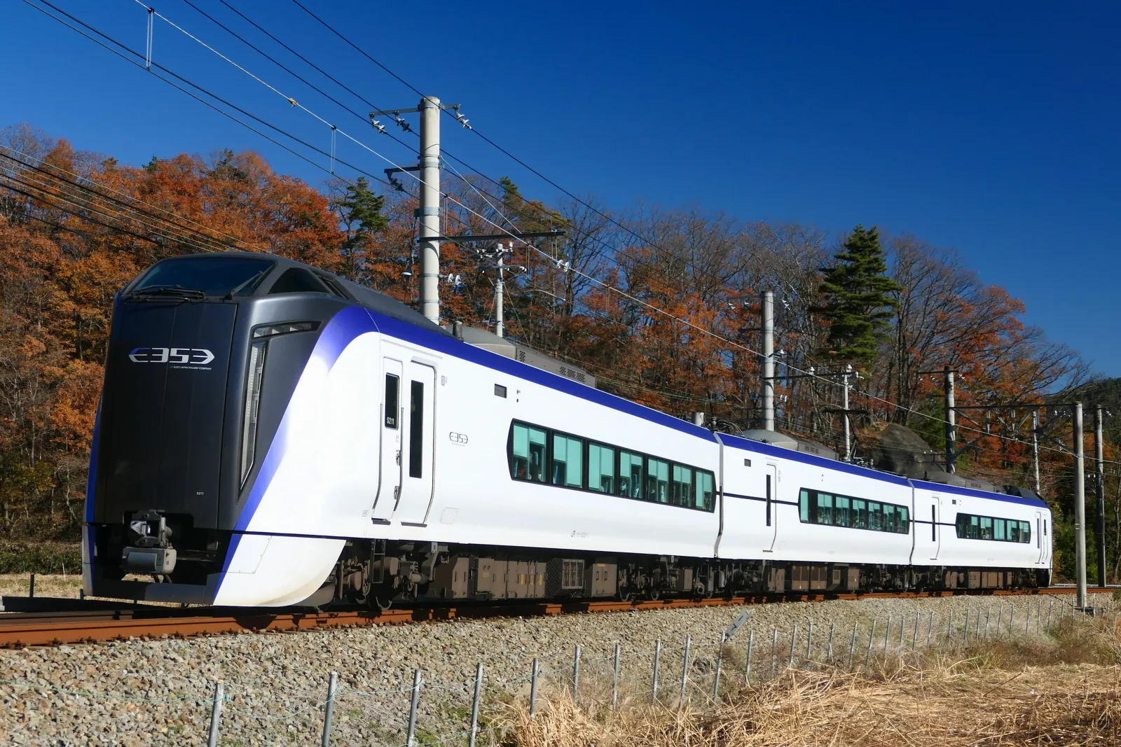 The E353 running as Fuji Excursion 15 through autumn trees