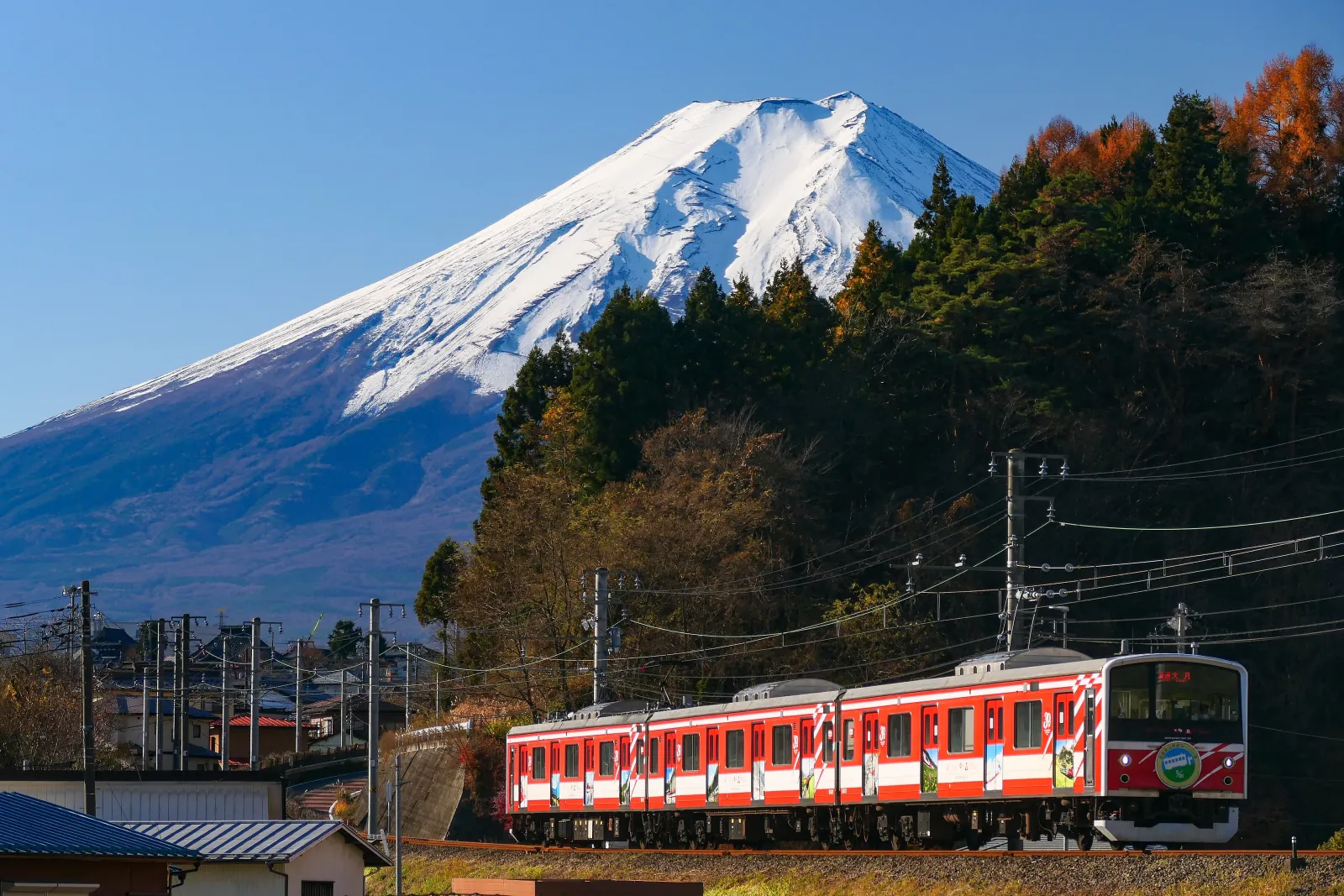 A Fujikyu train under Mt Fuji in autumn, on the line into Kawaguchiko