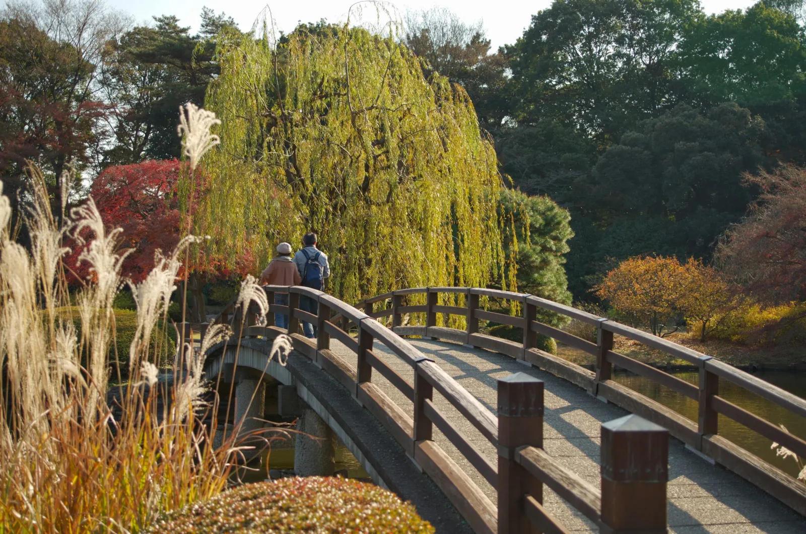 Walking the bridge over the upper pond, maples turning