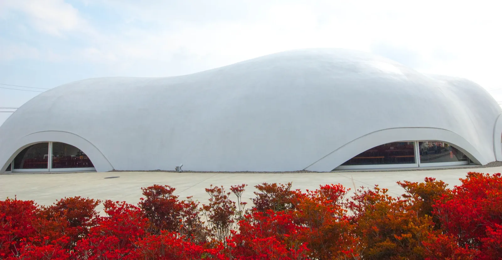 Hoto Fudou's white cloud-shaped building behind a hedge of red leaves