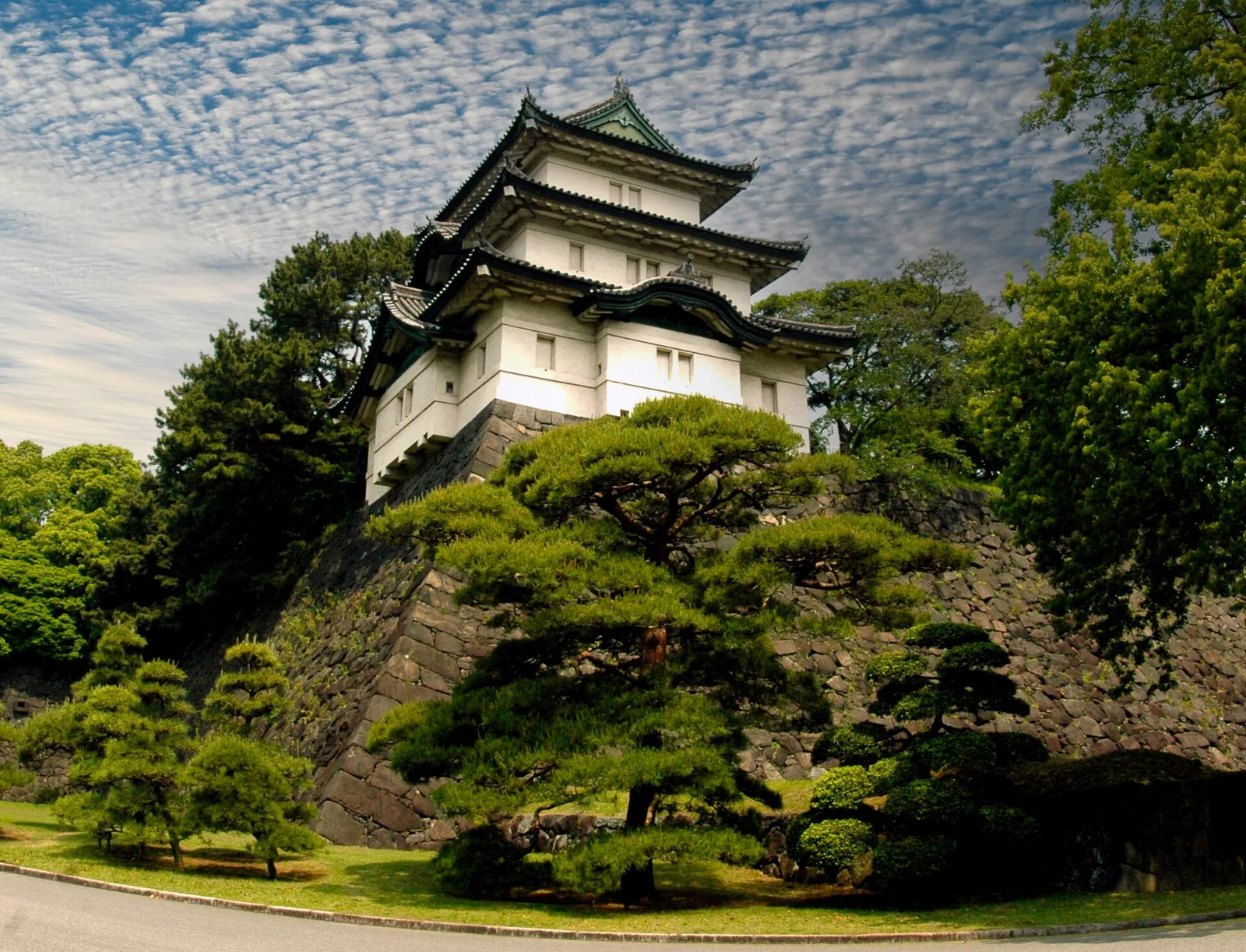 Fujimi-yagura, a palace keep on its stone wall above the pines