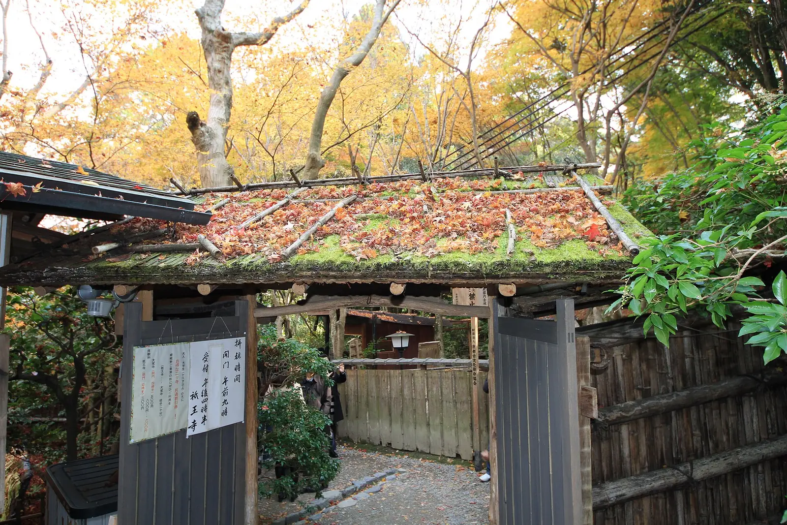 Gio-ji's moss-roofed gate in autumn