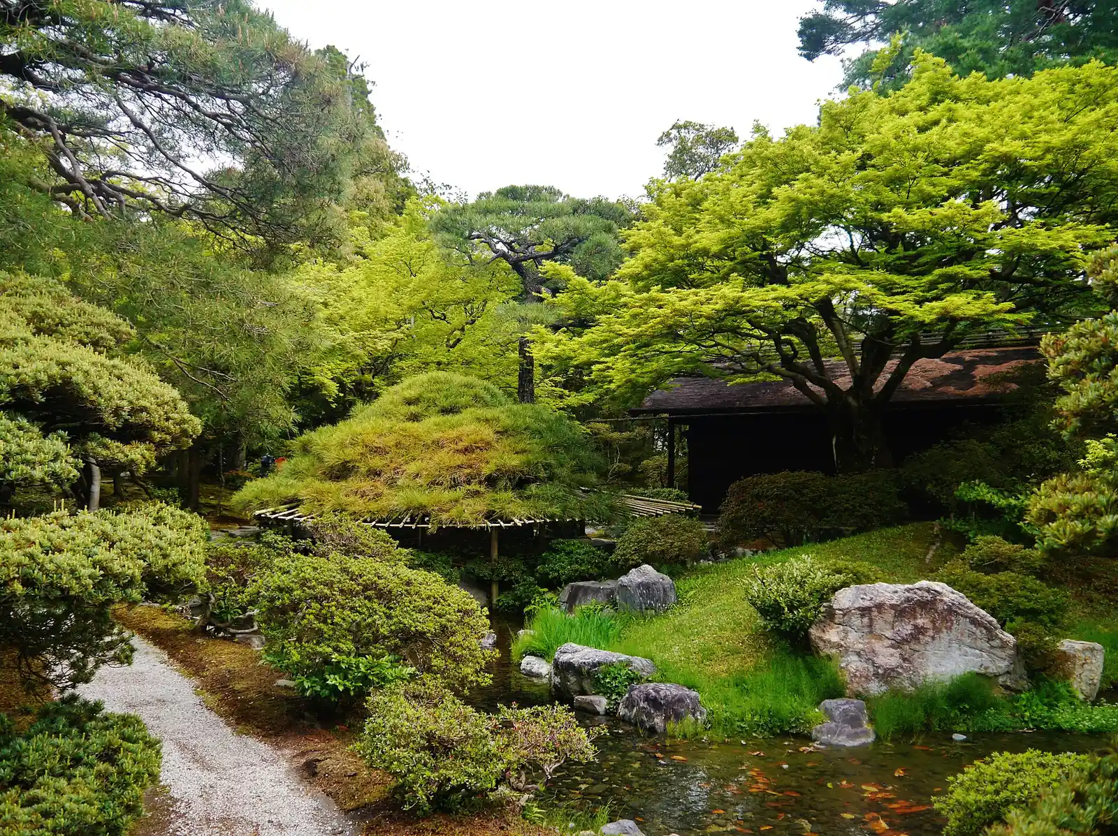 Pines and a pond in the Gonaitei garden