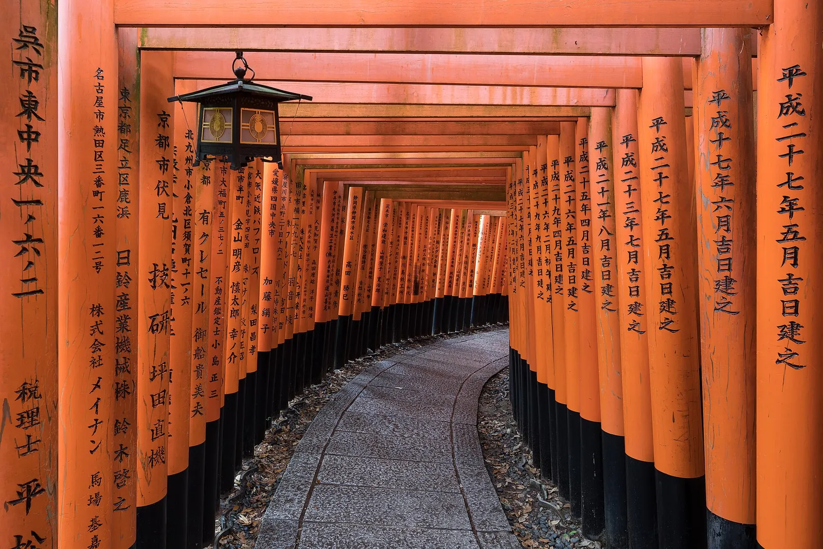 A lantern among the vermilion gates
