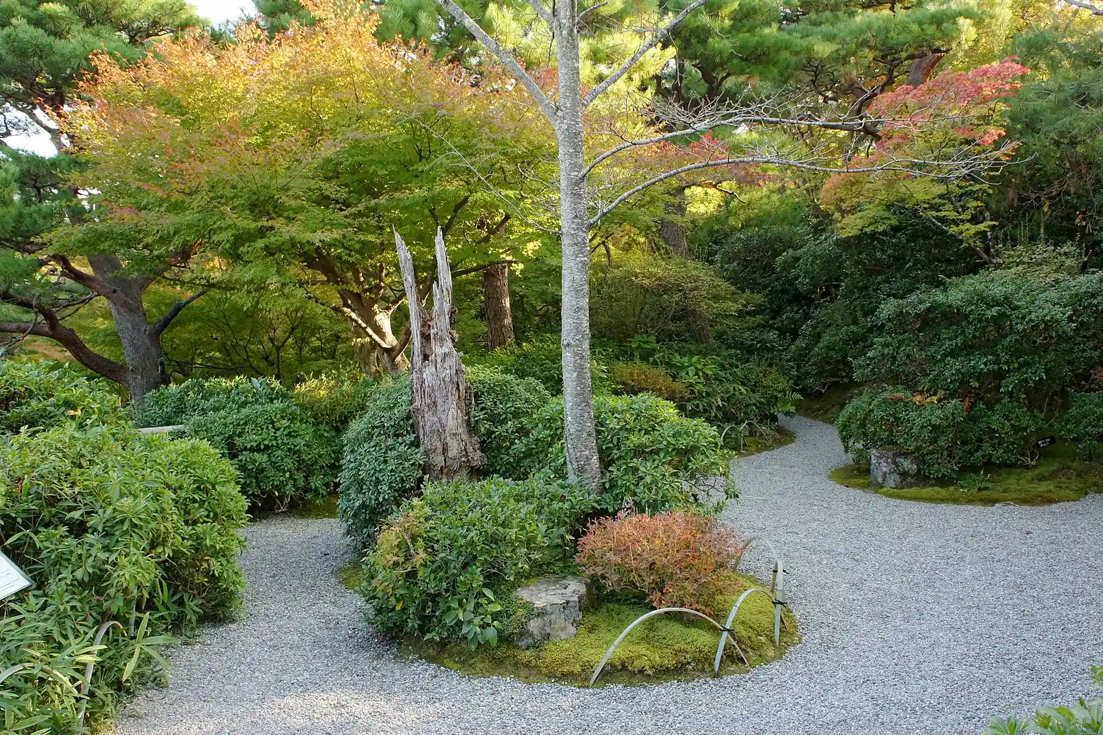 Raked paths and clipped shrubs at Okochi Sanso