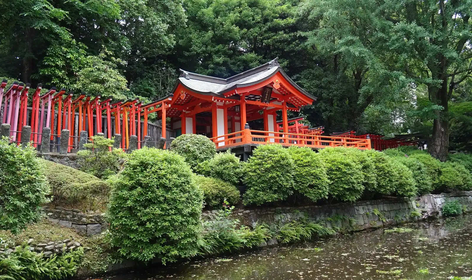 Nezu Shrine's vermilion buildings and torii, beside Yanaka